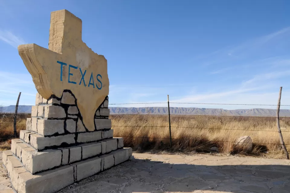 Texas-shaped road sign with TEXAS text on rural roadside